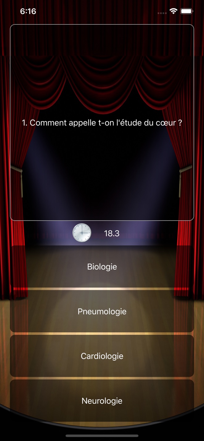 Quiz Runner - capture iPhone 2